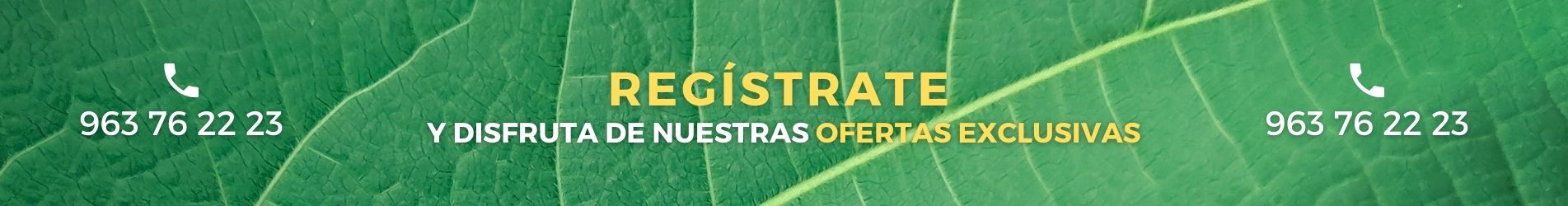 ofertas exclusivas natural